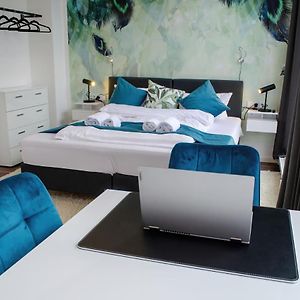 Studio met een King Size Bed